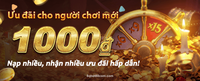 Banner khuyến mãi 0801-VN6